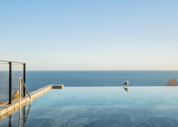 Iii - Savoy Monumentalis, By Pausa Funchal (Madeira)